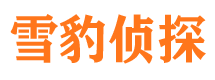 二道市私家侦探